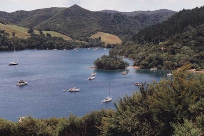 Akapoua (Forestry Bay), Great Barrier Island - photo by Kay Stowell